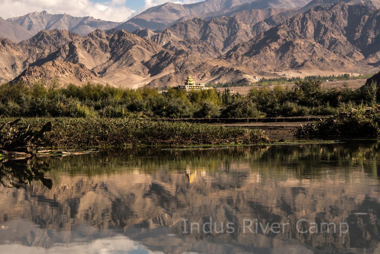 The Indus River Camp Leh Exteriör bild