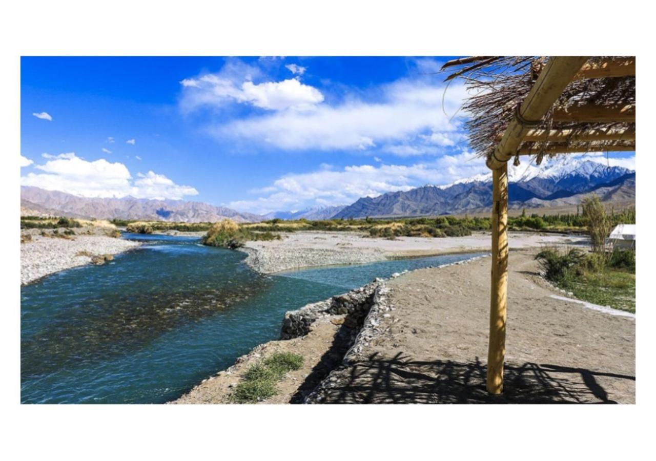 The Indus River Camp Leh Exteriör bild