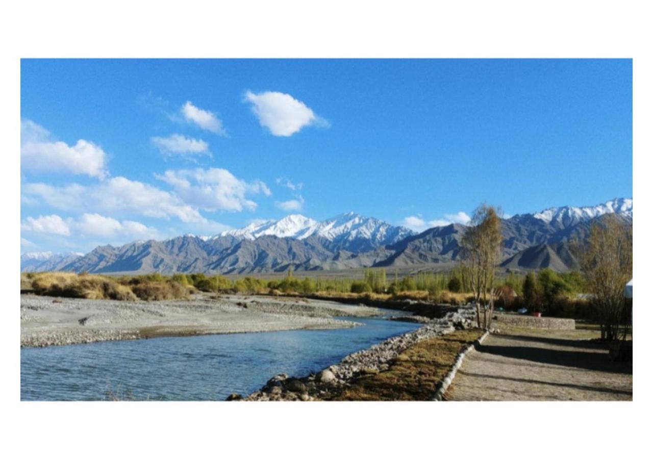 The Indus River Camp Leh Exteriör bild
